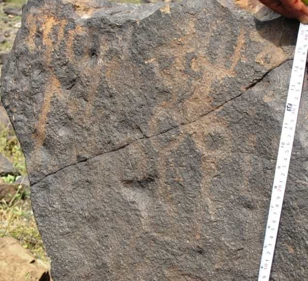 الشرعي جبل العرق 111